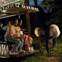 Wildlife Experiences